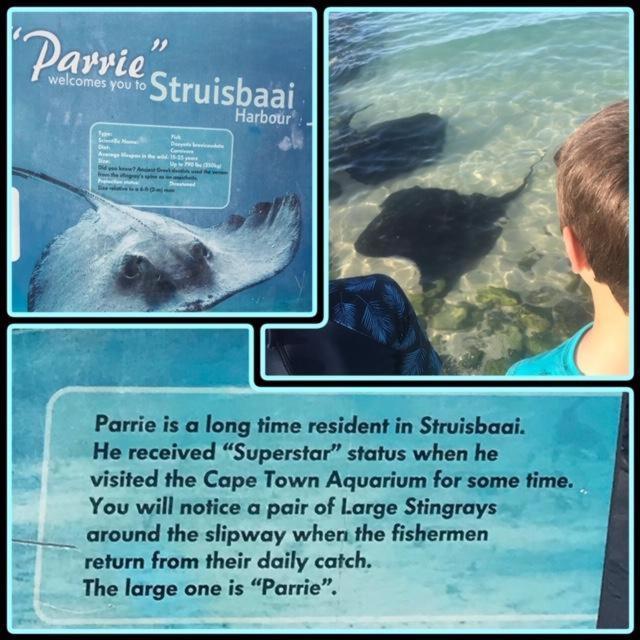 C-Pampoentjie Appartement Struisbaai Buitenkant foto